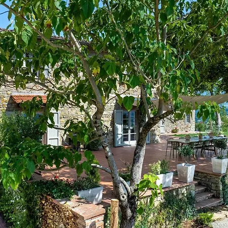 Tenuta Seriole 10